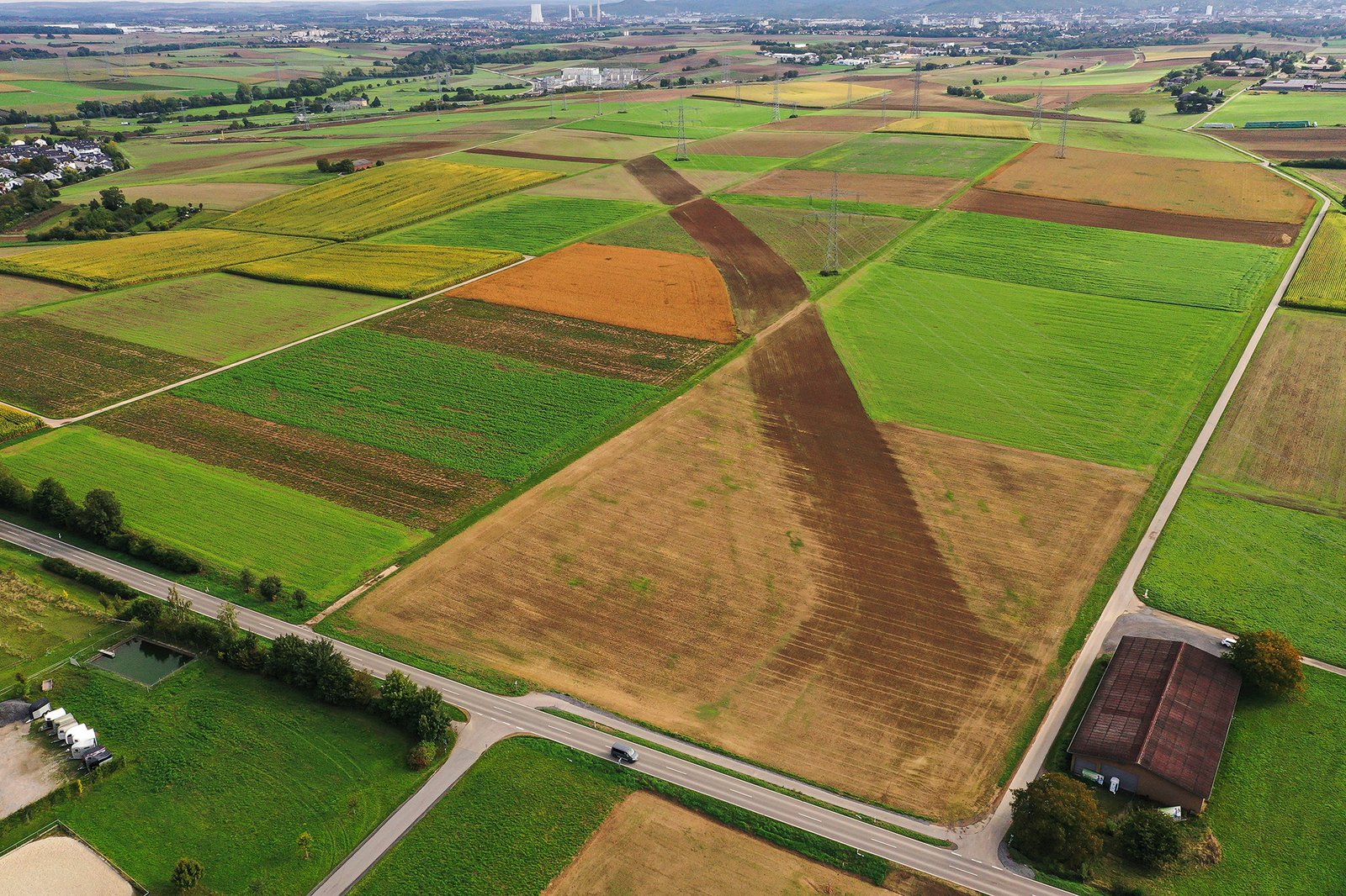 Rekultivierung entlang der Wanderbaustelle der SEL